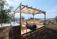 Buy Luxurious two-story mansion at the foot of the mountains — Alanya, Yeşiloz district 13