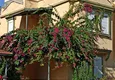 Buy Triplex villa with furniture in a complex of townhouses - Alanya, Konakli area 8