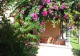 Affordable Purchase Triplex villa with furniture in a complex of townhouses - Alanya, Konakli area 1