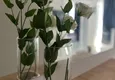 Affordable Purchase One bedroom apartment with furniture in the center of Alanya 6 