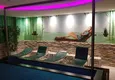 Buy Cozy one bedroom apartment with furniture in the center of Alanya 17