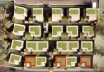 Purchase cheap Luxury villas in Konakli — comfort all year round surrounded by nature and sea 6 