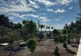 Buy One-bedroom apartment for primary sale — new building, Alanya, Avsallar district 16