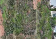 Доступно Инвестиционный проект в Кестеле — современный комфорт и утончённый образ жизни у моря 10
