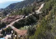 Buy A plot of land in Alanya, Tepe district with views 4