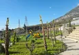 Buy Investor offer: One-bedroom apartment with mountain views in a premium complex — Alanya, Mahmutlar 10