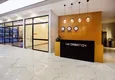 Buy 1+1 apartment with furniture and sea view in Tosmur, Alanya   12 