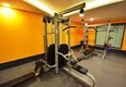 Buy 2+1 apartment in Mahmutlar — furniture, mountain view, first coastline 18