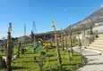Buy Real estate in Alanya with sea view - 1+1 apartment in Mahmutlar 10