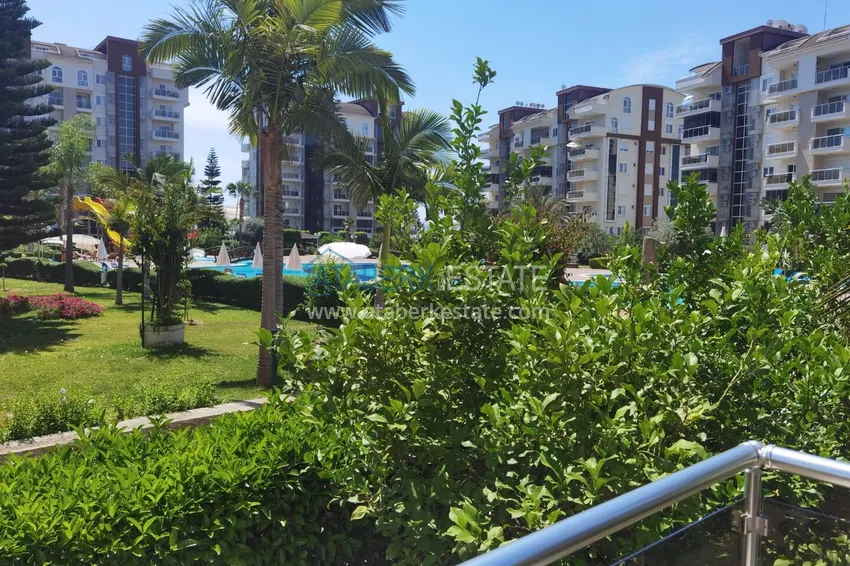 Purchase Long-term 2+1 apartment rental with pool view — Alanya, Avsallar A9 21