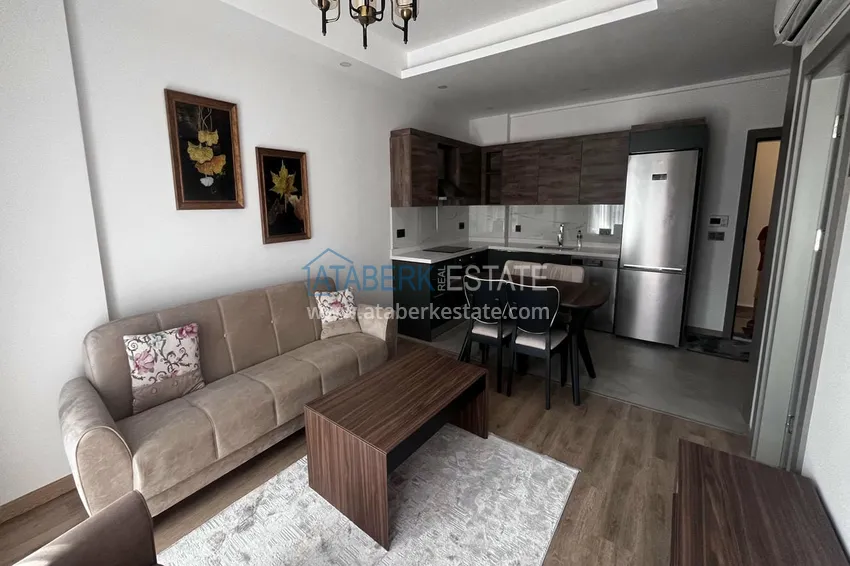 Purchase 1+1 apartment in Alanya, Kestel — one-bedroom apartment with new furniture and sea views 1