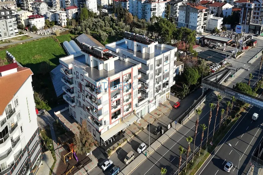 Commercial property in Gazipasa 1 