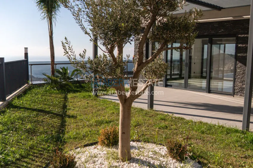 Luxury villas in Alanya with citizenship rights - directly from the developer 13