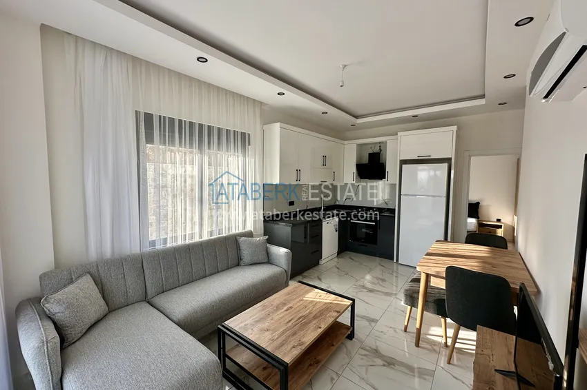 Purchase 1+1 apartment in Alanya, Demirtas district - new furniture, hot price 1