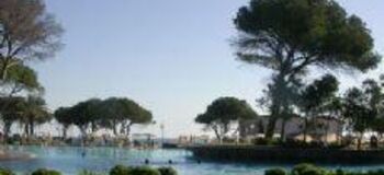 Young and attractive Belek